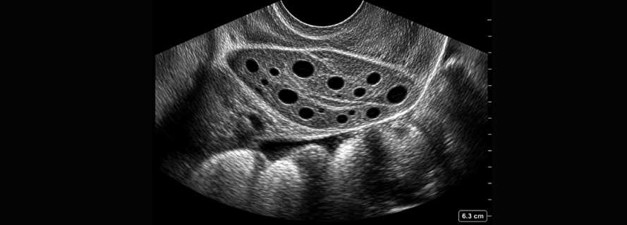 Case 1 - Medical scan
